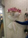 10 Pink Lilies