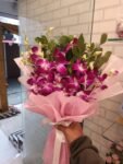 6 Purple Orchids