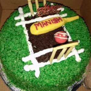 Cricket Field Round Cake