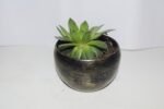 Seculant Plant Metal - Image 3