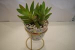 Seculant in Metal Pot - Image 2