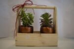 Zade and Seculant in a Basket