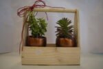 Zade and Seculant in a Basket