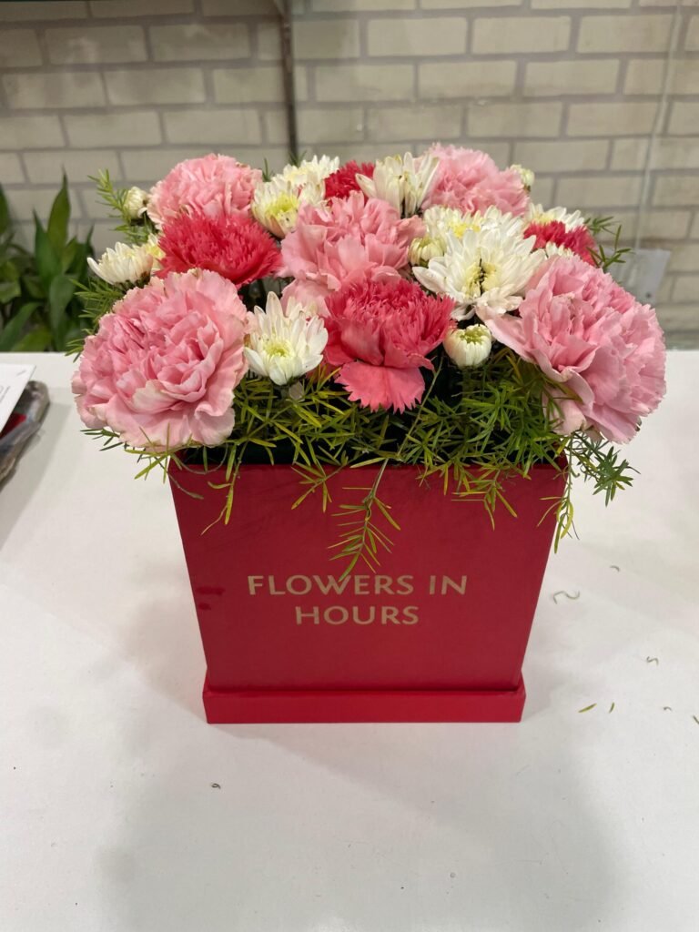 Box of 12 Mixed Color Carnations