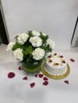 10 White Carnations in Fish Bowl with Pineapple Cake