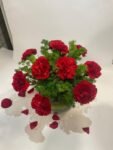 10 Red Carnations in Fish Bowl - Image 4