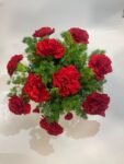 10 Red Carnations in Fish Bowl - Image 5