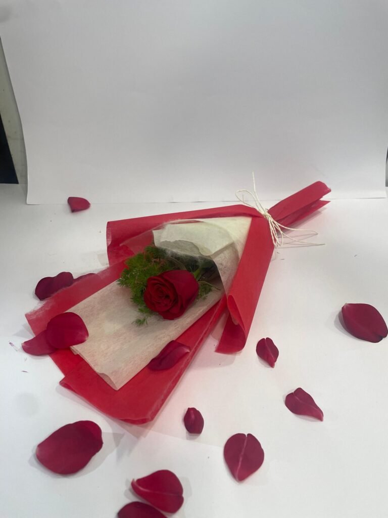 Single Red Rose