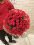 50 Red Carnations
