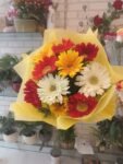 10 Mixed Zerberas